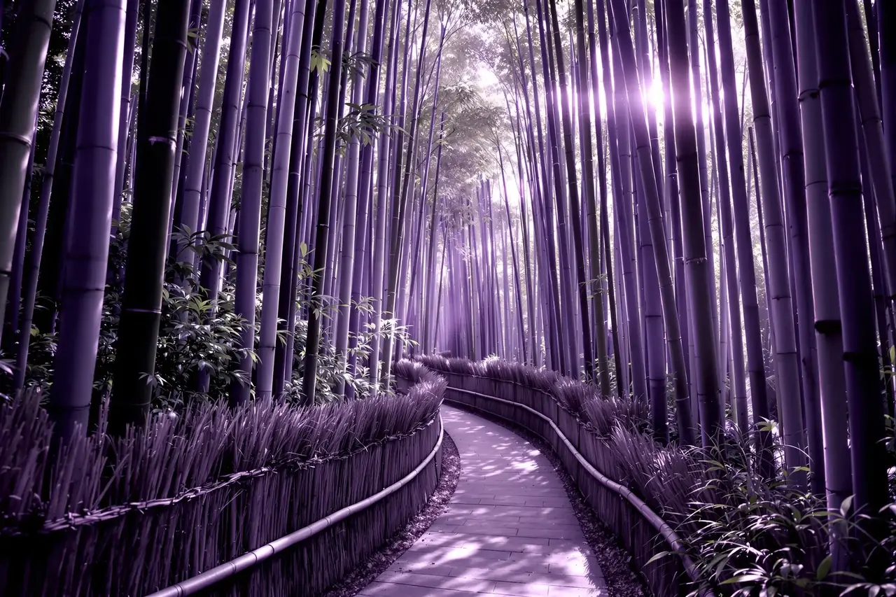 芊芊视频 - 暮鼓晨钟 · 京都禅意录 - 图1 暮鼓晨钟 · 京都禅意录 - 图1