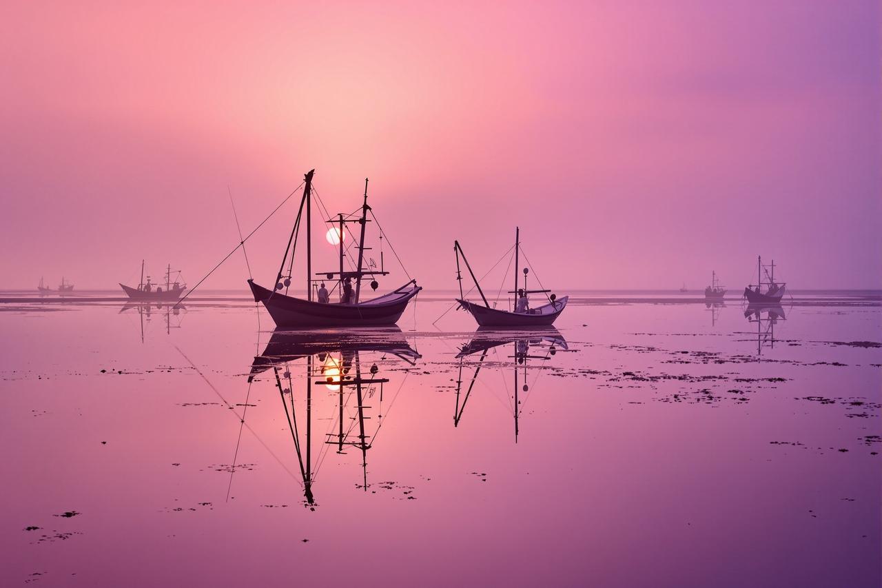 芊芊视频 - 潮汐之间 · 霞浦滩涂画卷 - 图1 潮汐之间 · 霞浦滩涂画卷 - 图1